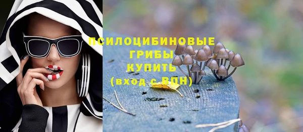 дживик Ветлуга