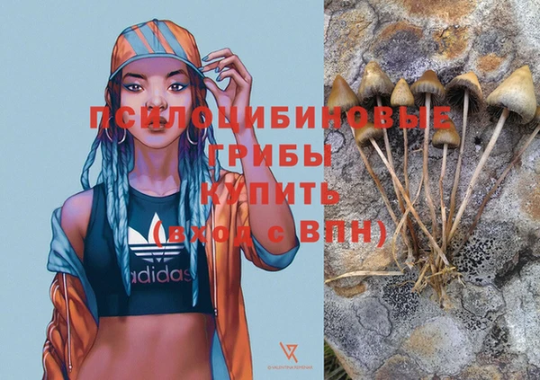 мяу мяу мука Видное