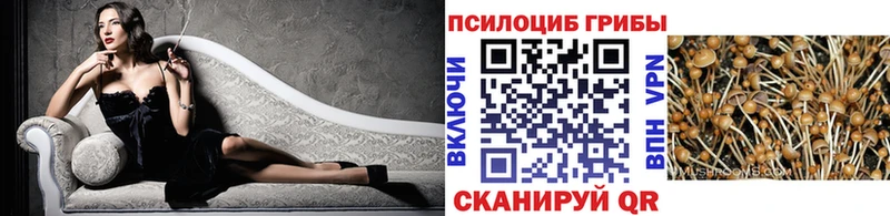 Псилоцибиновые грибы ЛСД  наркотики  Новосибирск 