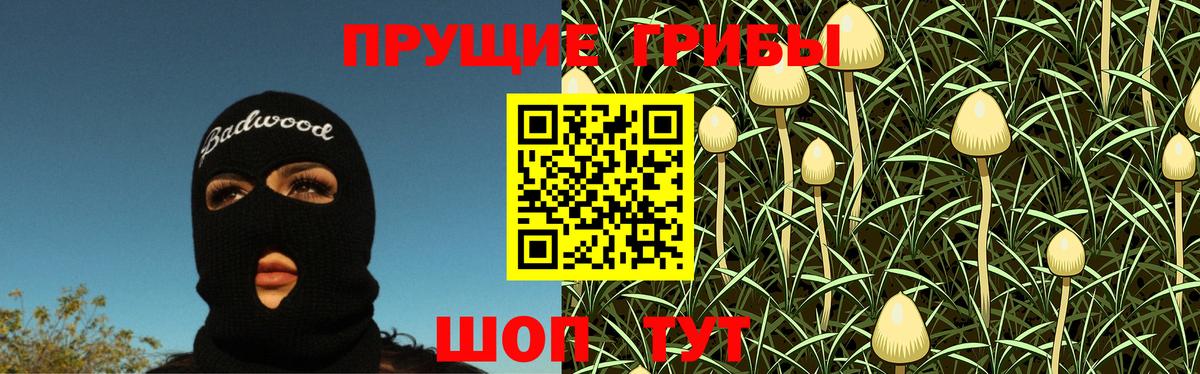 Галлюциногенные грибы Magic Shrooms Новосибирск